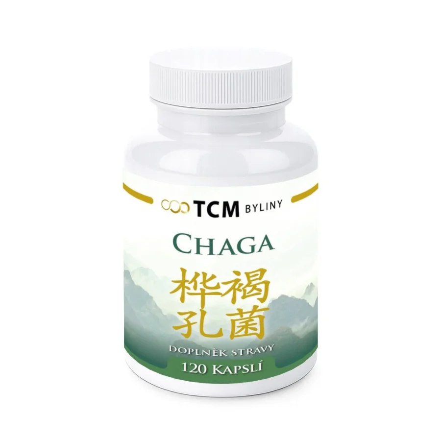 Chaga tradičná čínska medicína TCM Byliny