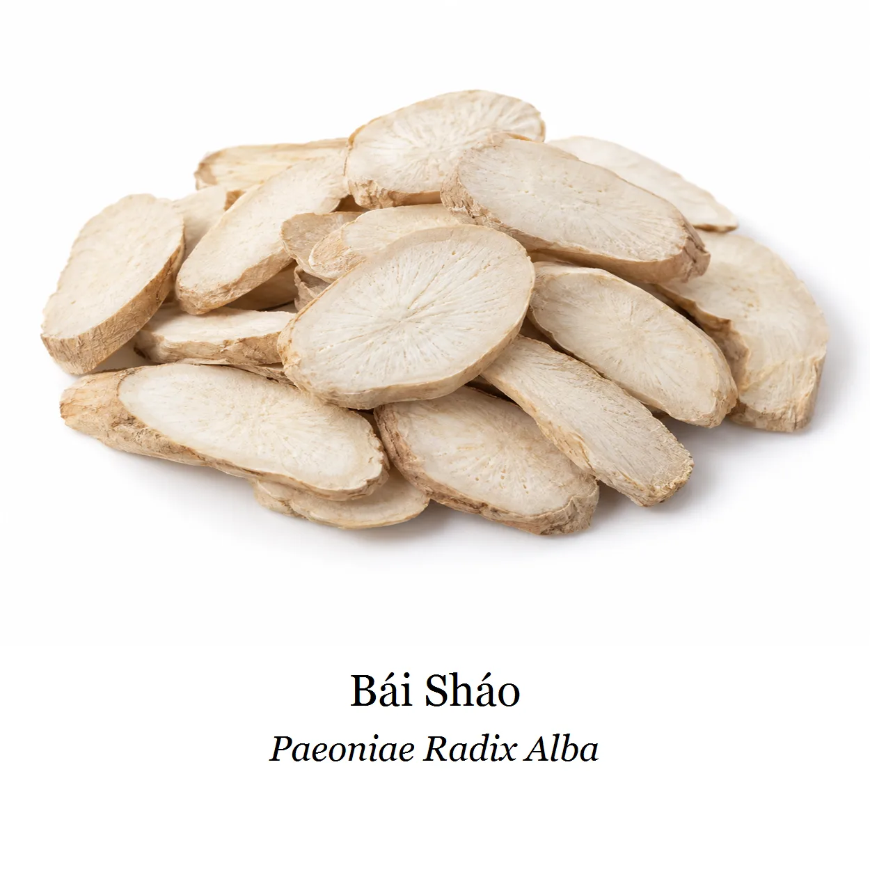 Sušená surovina – Bai Shao