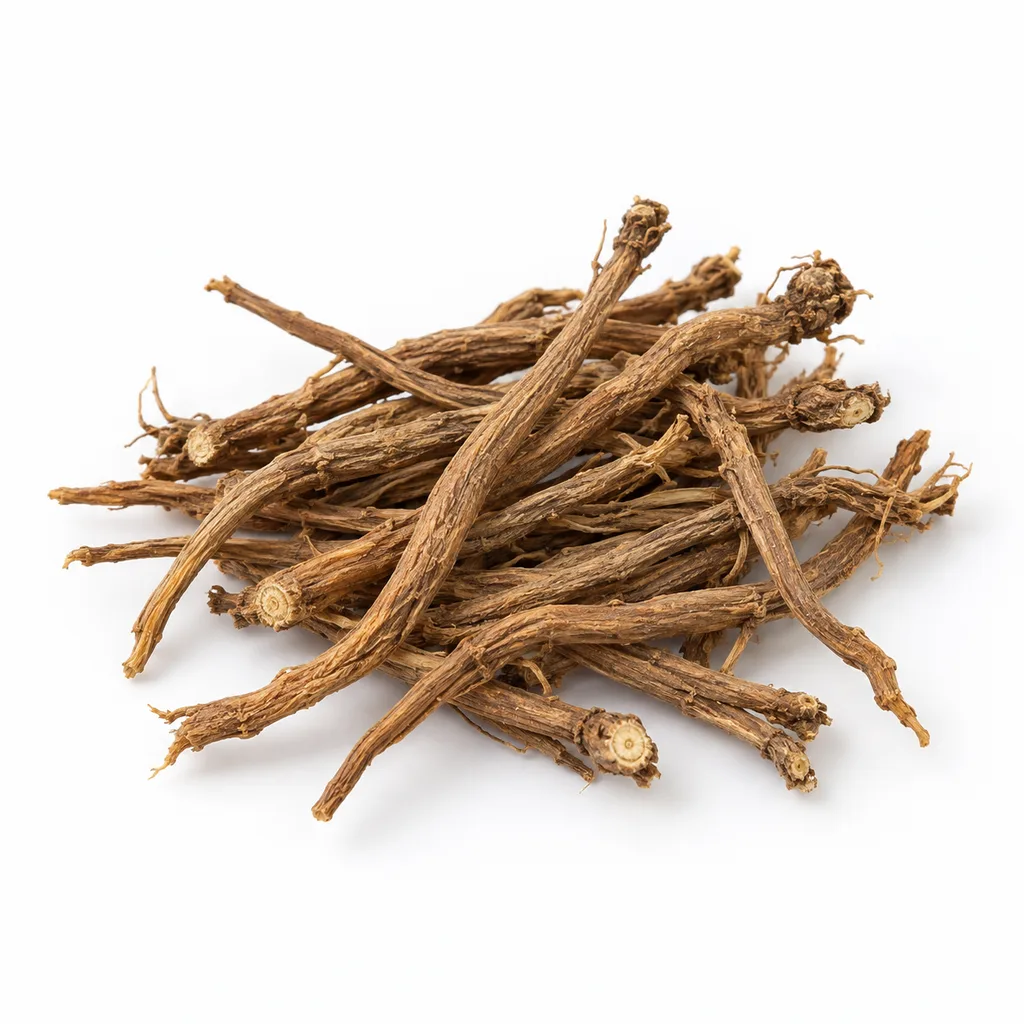 Chai Hu – sušený koreň prerastlíka čínskeho (Bupleurum chinense)