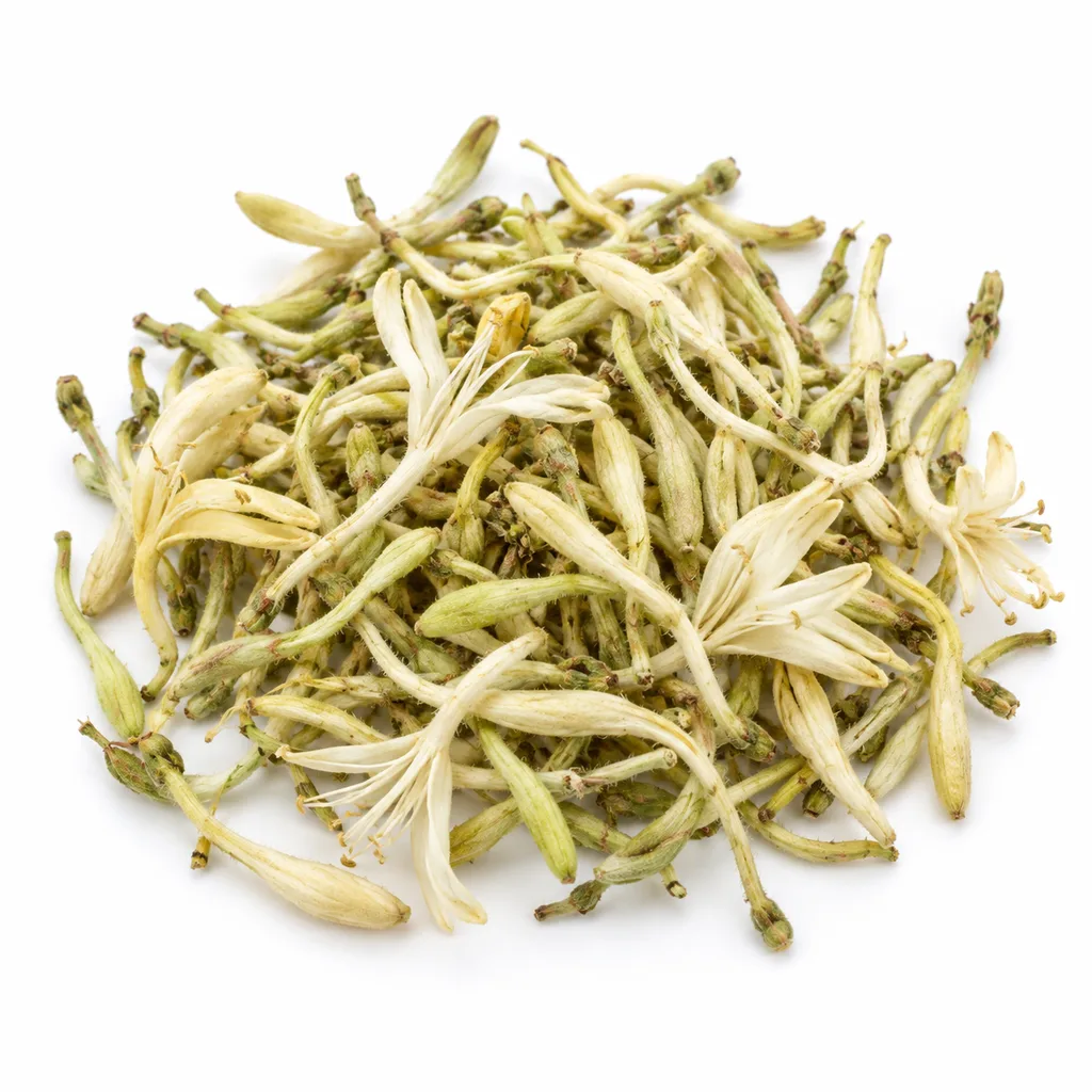 Jin Yin Hua – sušené kvety zemolezu japonského (Lonicera japonica)